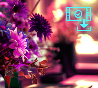 Eindresultaat color grading